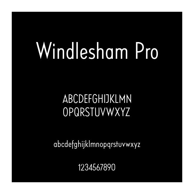 Windlesham Pro