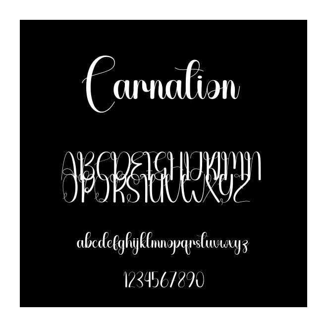 Carnation