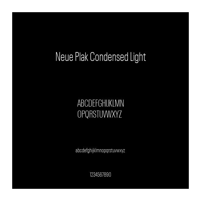 Neue Plak Condensed Light