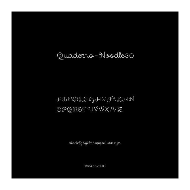Quaderno-Noodle30