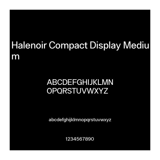 Halenoir Compact Display Medium