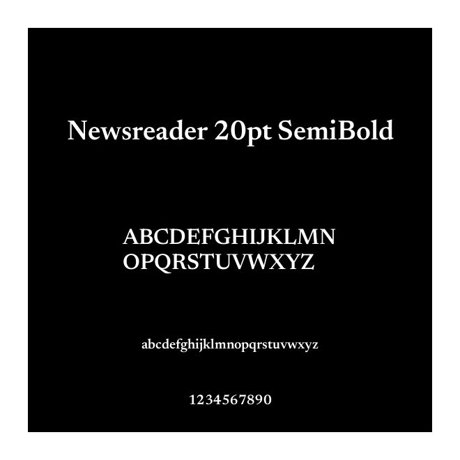 Newsreader 20pt SemiBold
