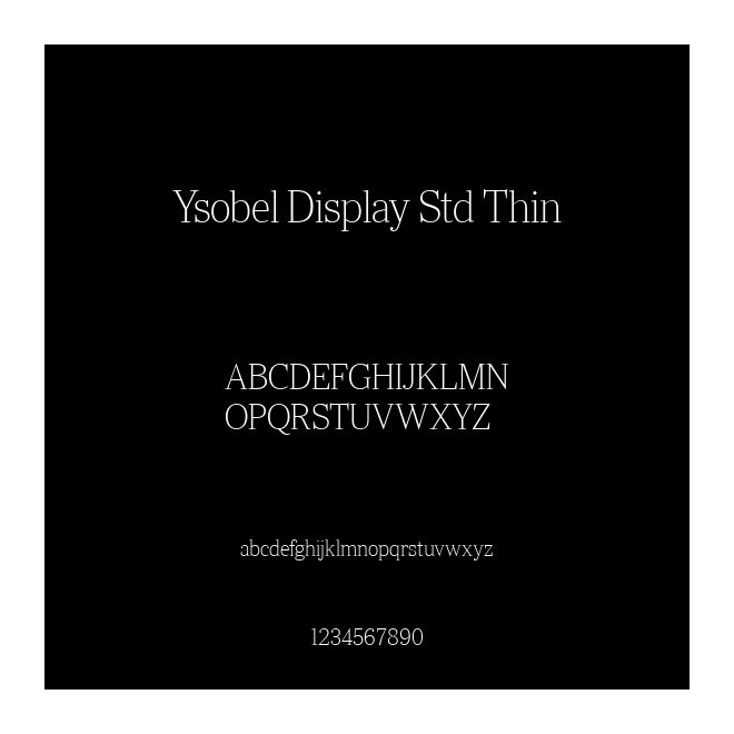 Ysobel Display Std Thin