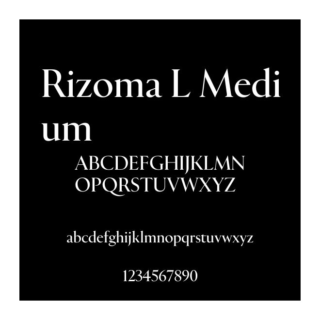 Rizoma L Medium
