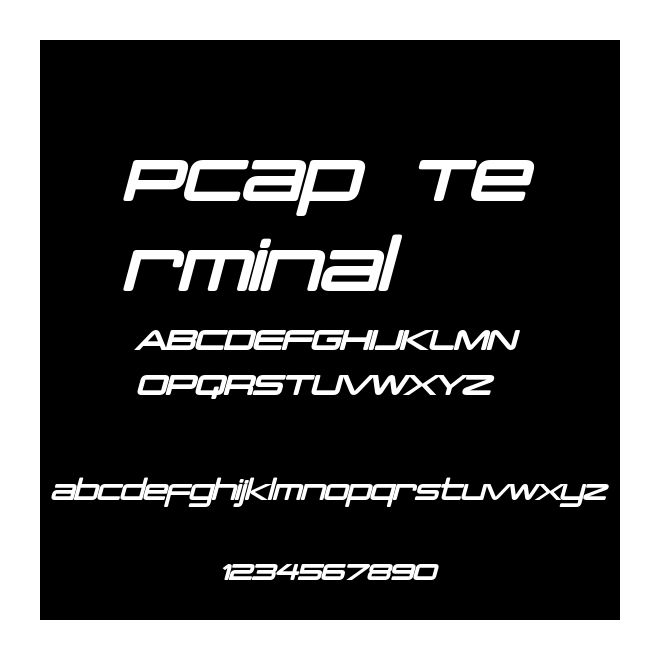 PCap Terminal
