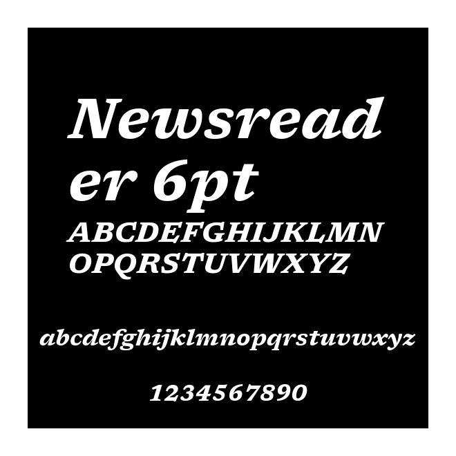 Newsreader 6pt