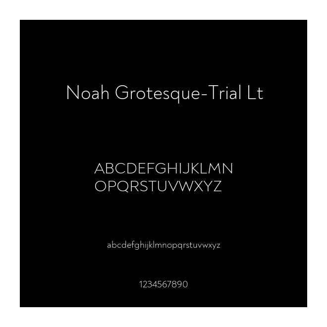 Noah Grotesque-Trial Lt