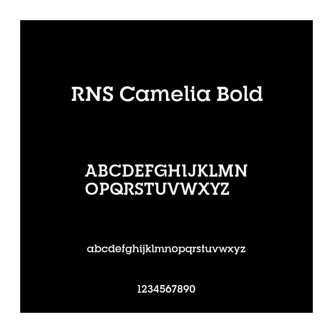 RNS Camelia Bold