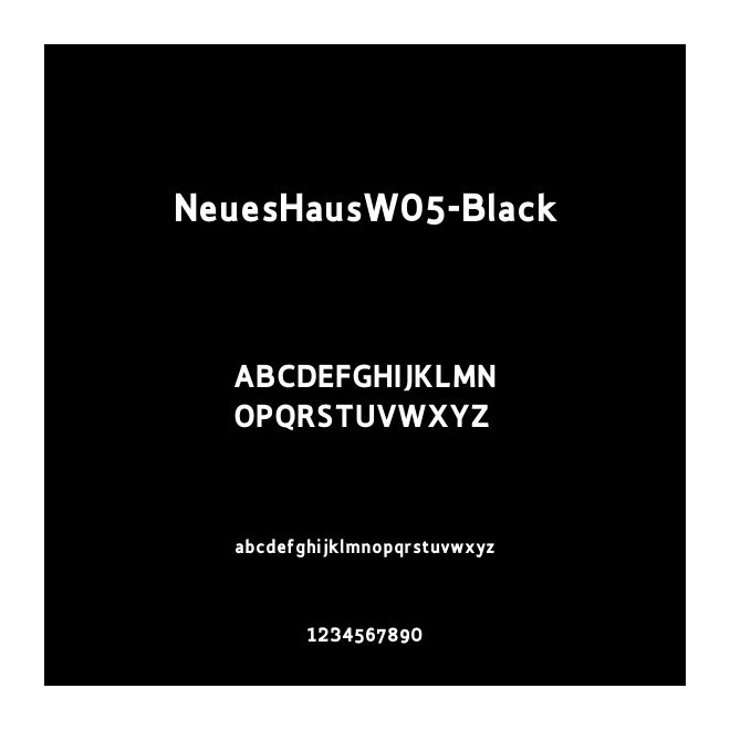 NeuesHausW05-Black
