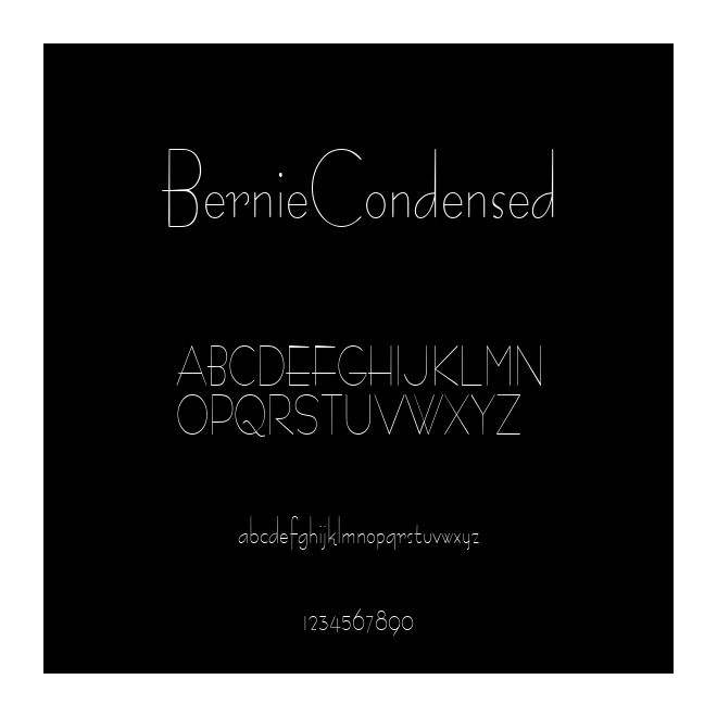 BernieCondensed