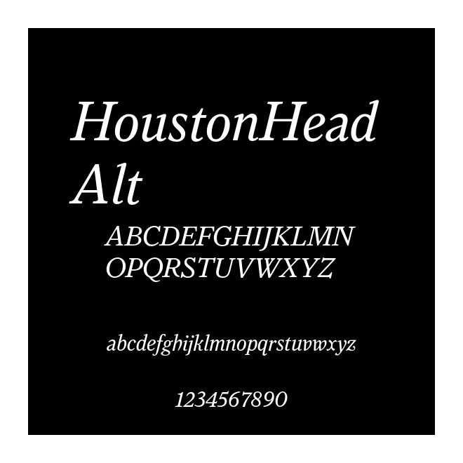 HoustonHead Alt