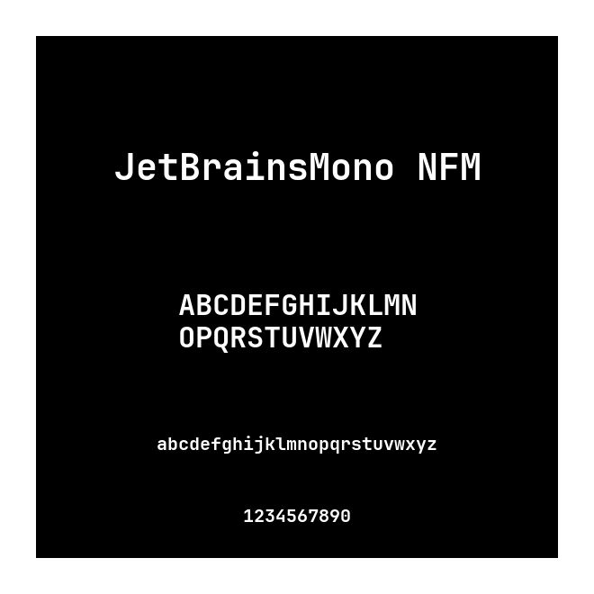 JetBrainsMono NFM