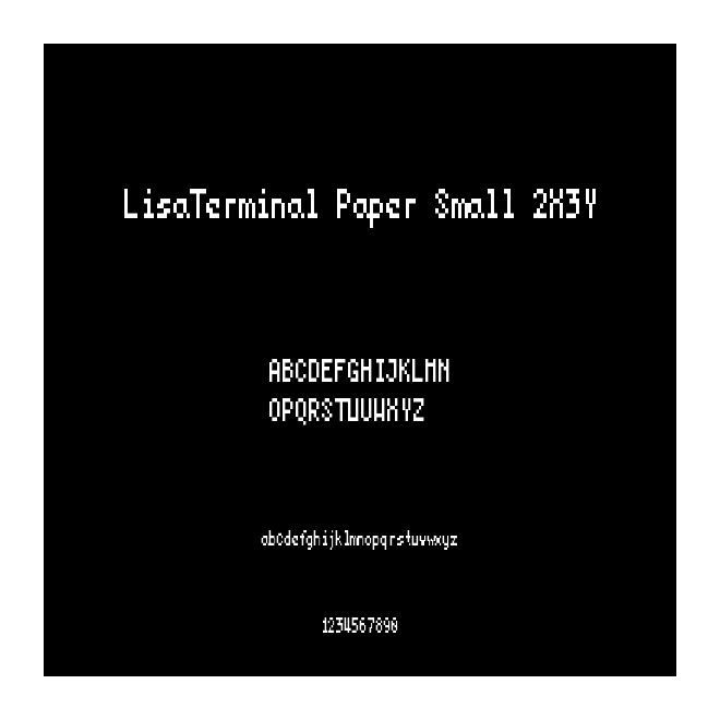 LisaTerminal Paper Small 2X3Y