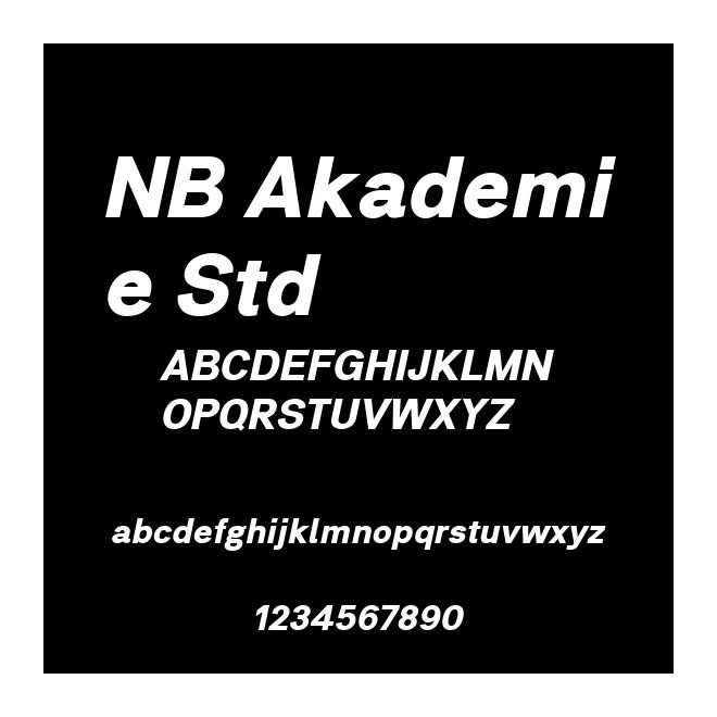 NB Akademie Std