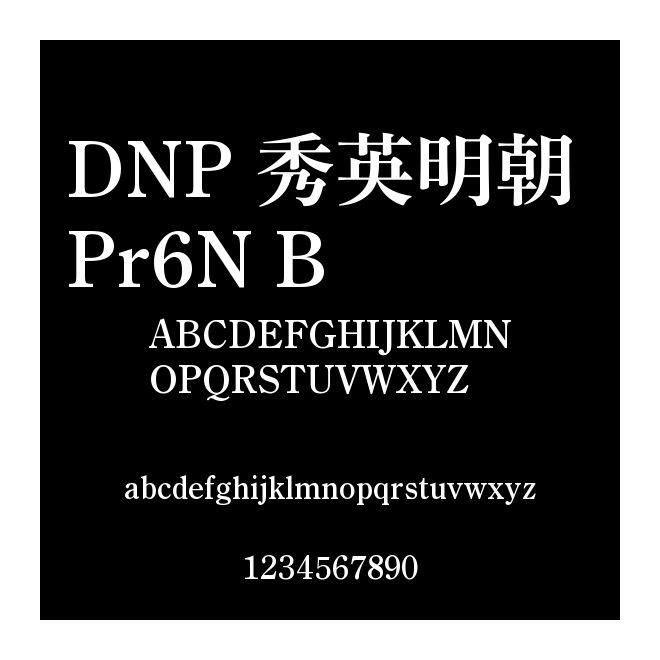 DNP 秀英明朝 Pr6N B