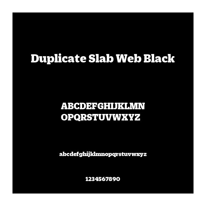 Duplicate Slab Web Black