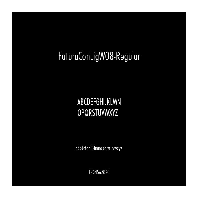 FuturaConLigW08-Regular