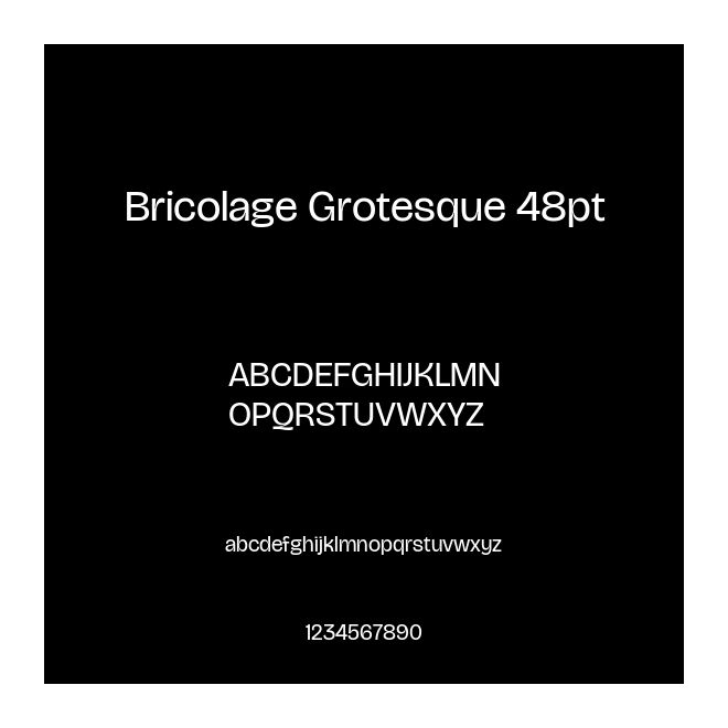Bricolage Grotesque 48pt