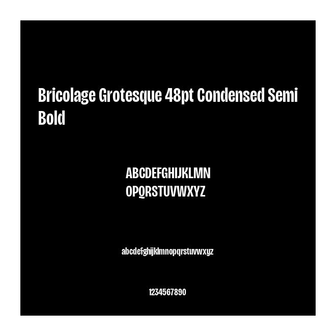 Bricolage Grotesque 48pt Condensed SemiBold
