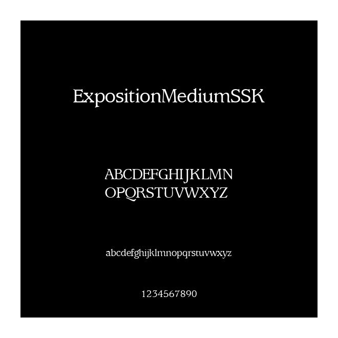 ExpositionMediumSSK