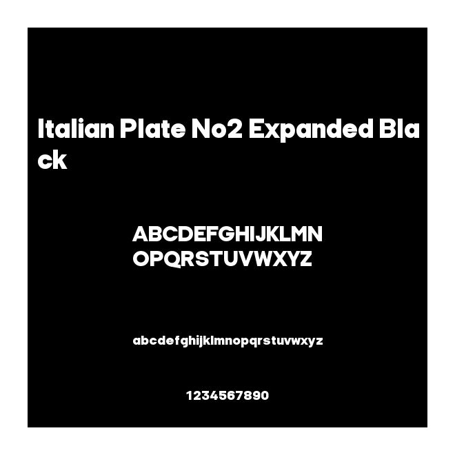 Italian Plate No2 Expanded Black
