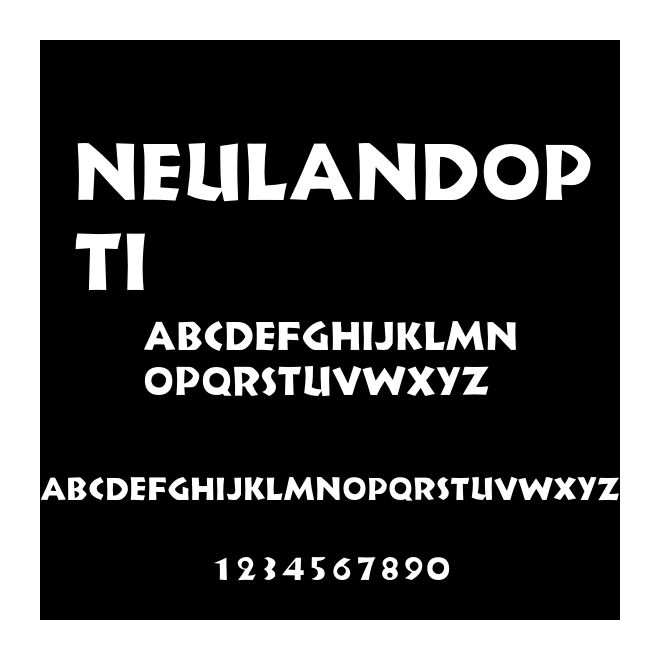 NeulandOpti