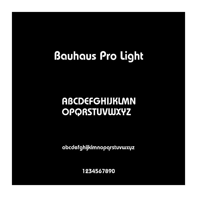Bauhaus Pro Light