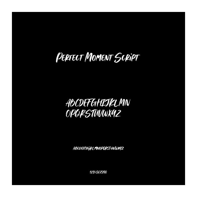 Perfect Moment Script