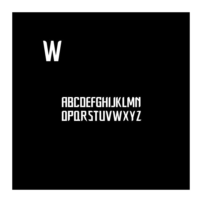 Werder2011
