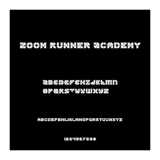 Zoom Runner Academy