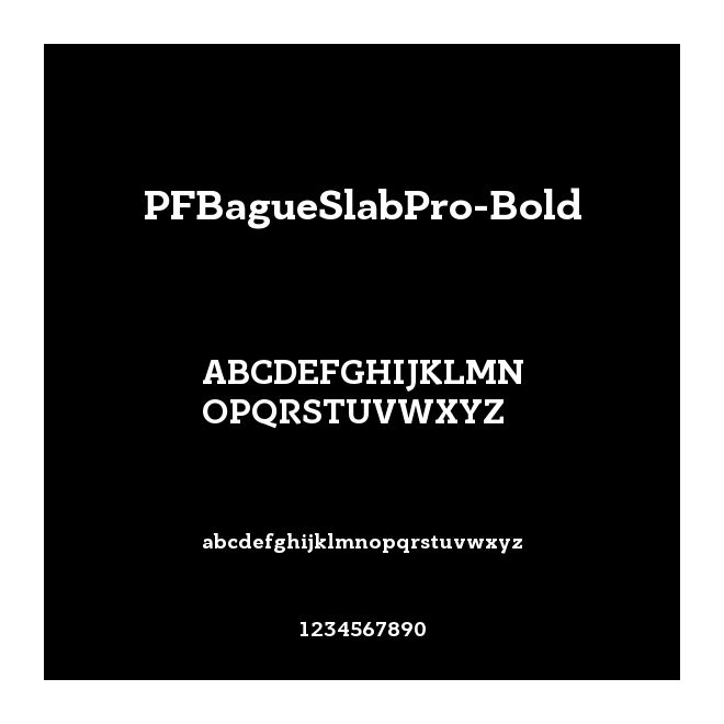 PFBagueSlabPro-Bold