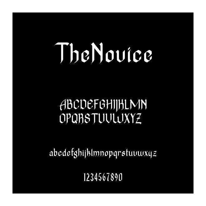 TheNovice