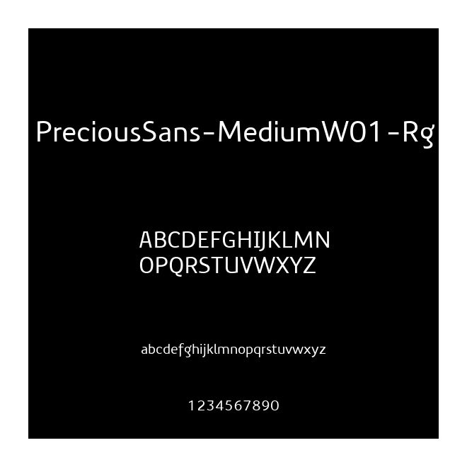 PreciousSans-MediumW01-Rg