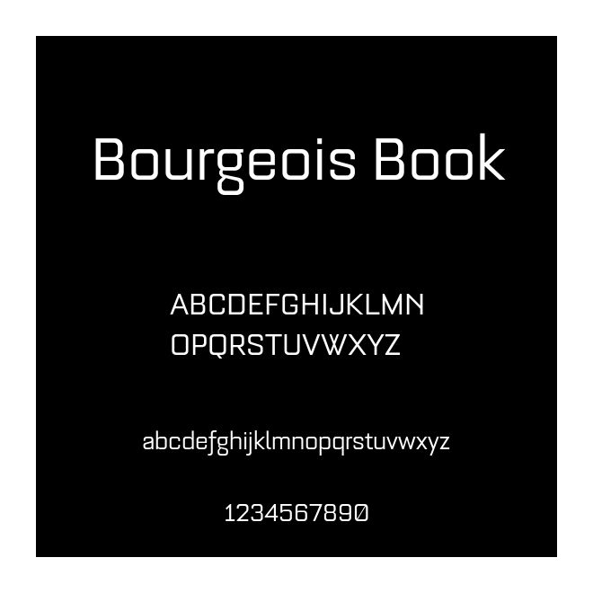 Bourgeois Book
