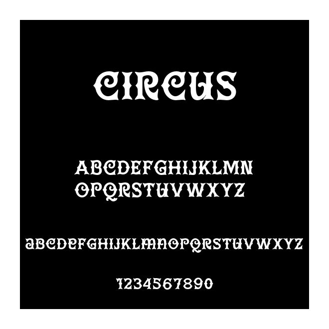 Circus