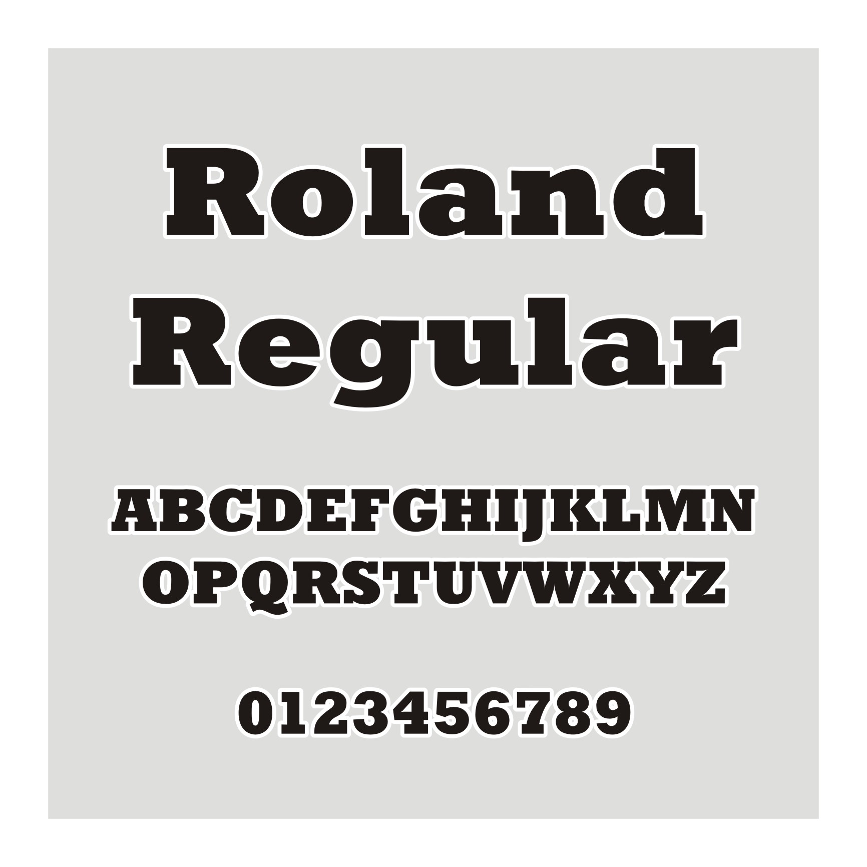 Roland Regular