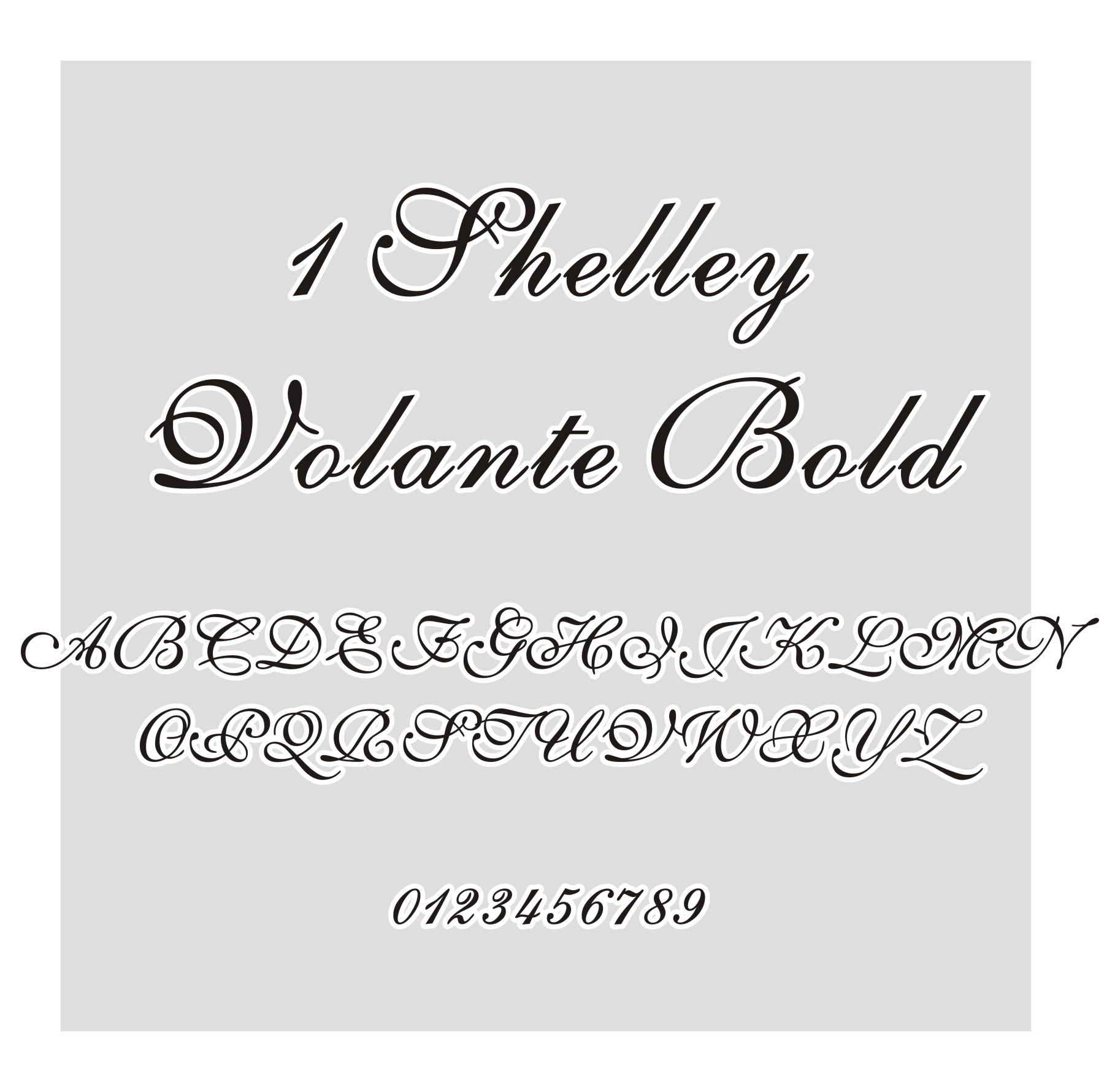1 Shelley Volante Bold