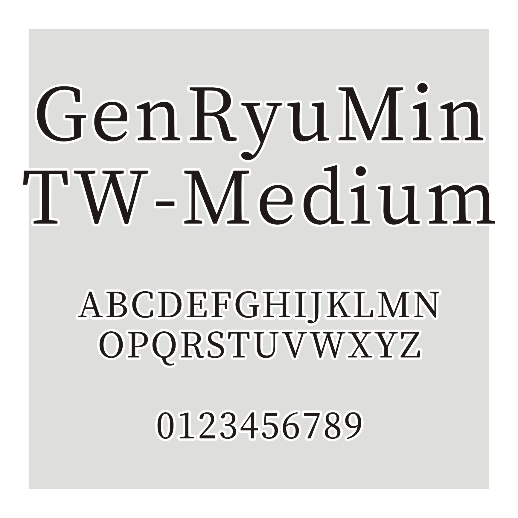 源流明体GenRyuMin TW-Medium