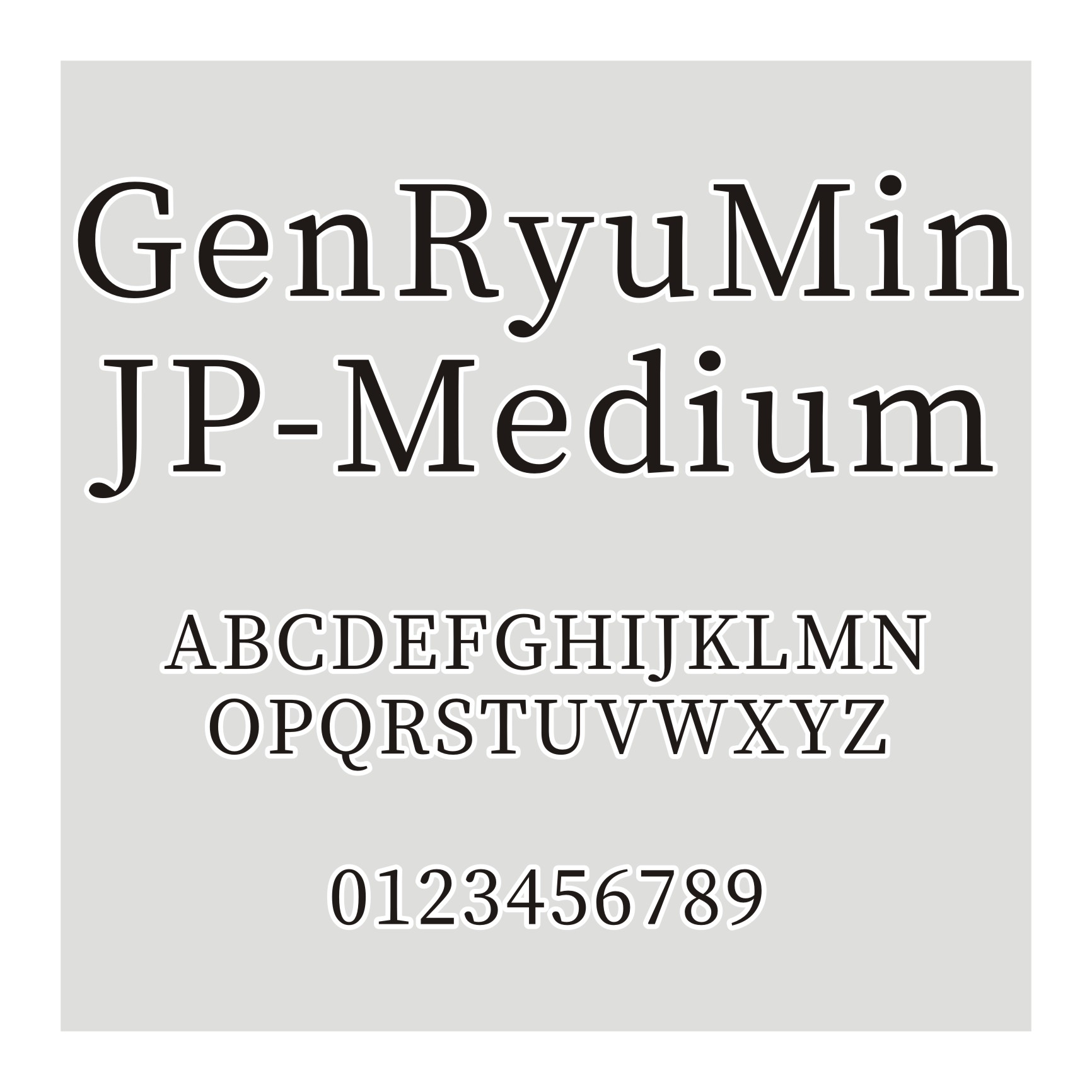 源流明体GenRyuMin JP-Medium