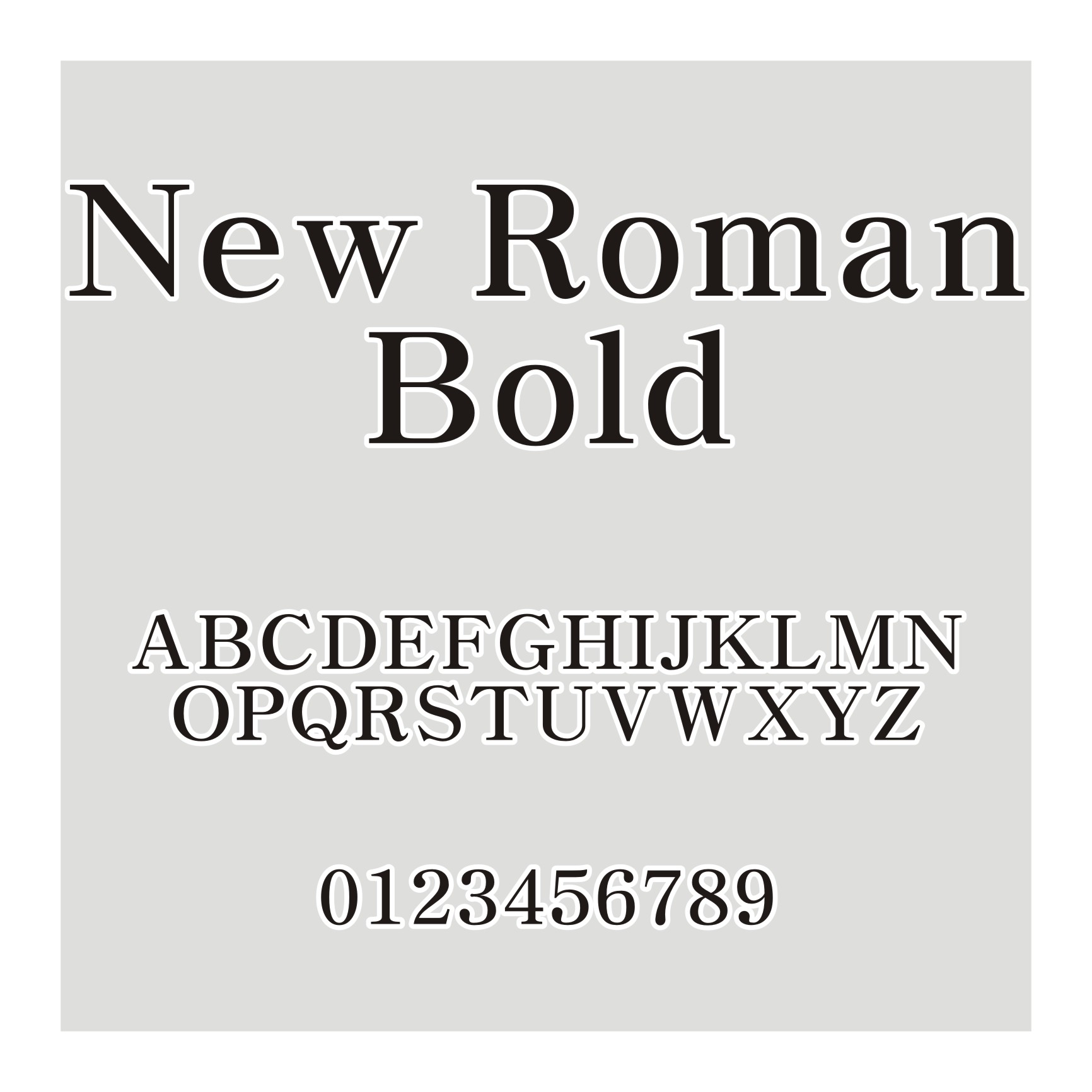 New Roman Bold