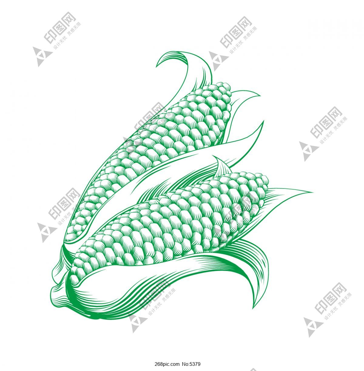 玉米矢量