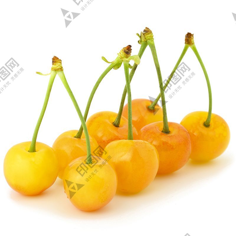 黃櫻桃
