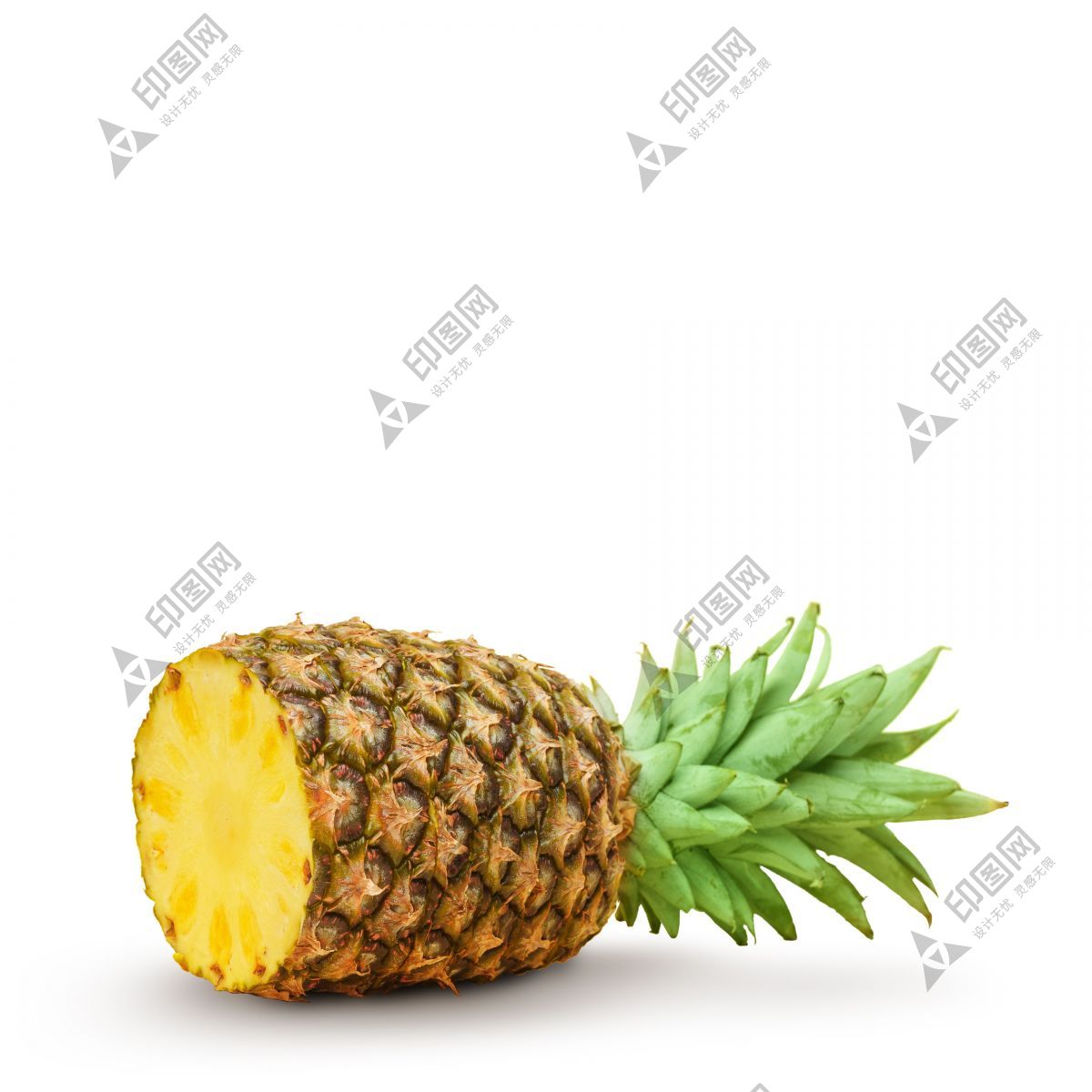 菠蘿