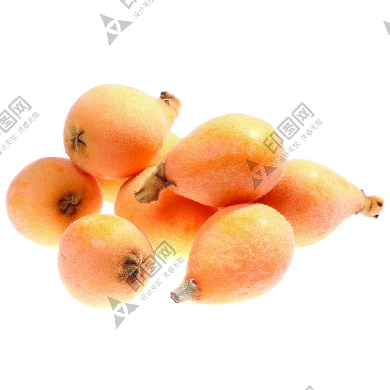 枇杷