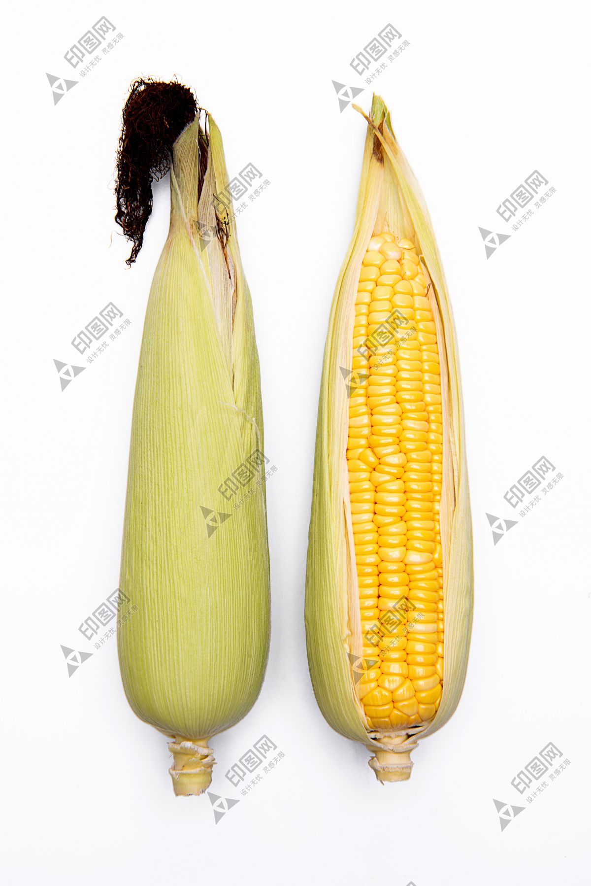 玉米