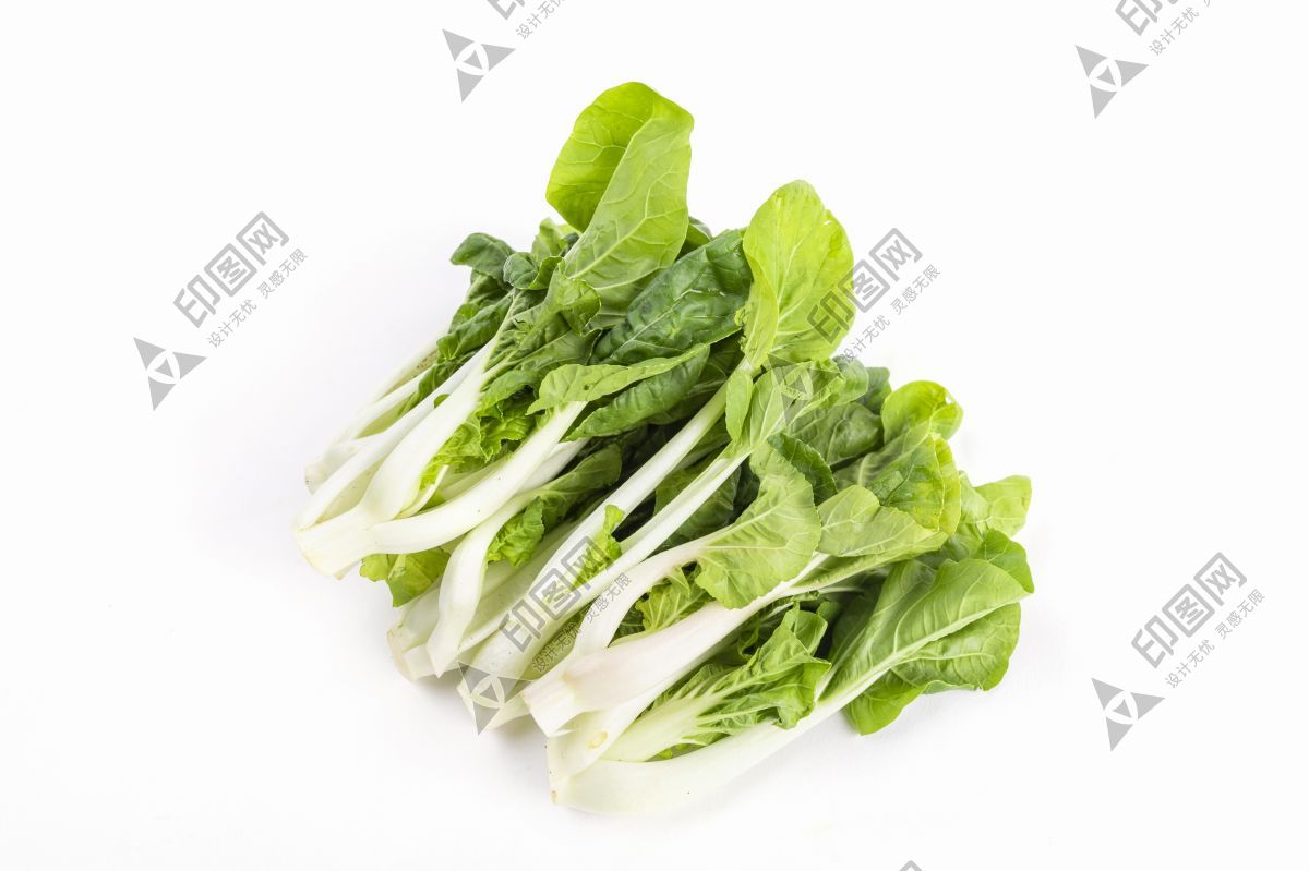 洋白菜