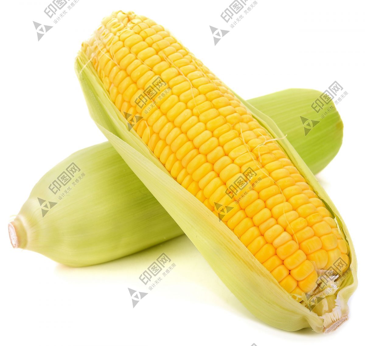 玉米