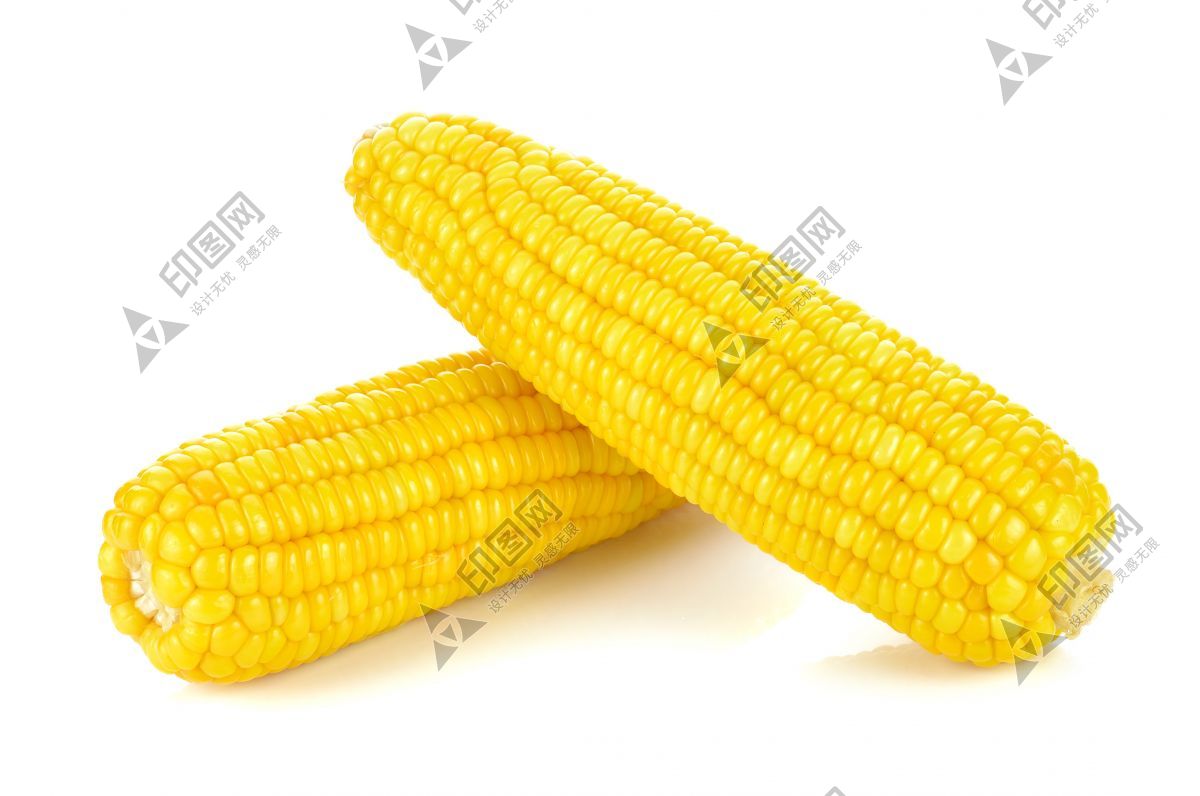 玉米