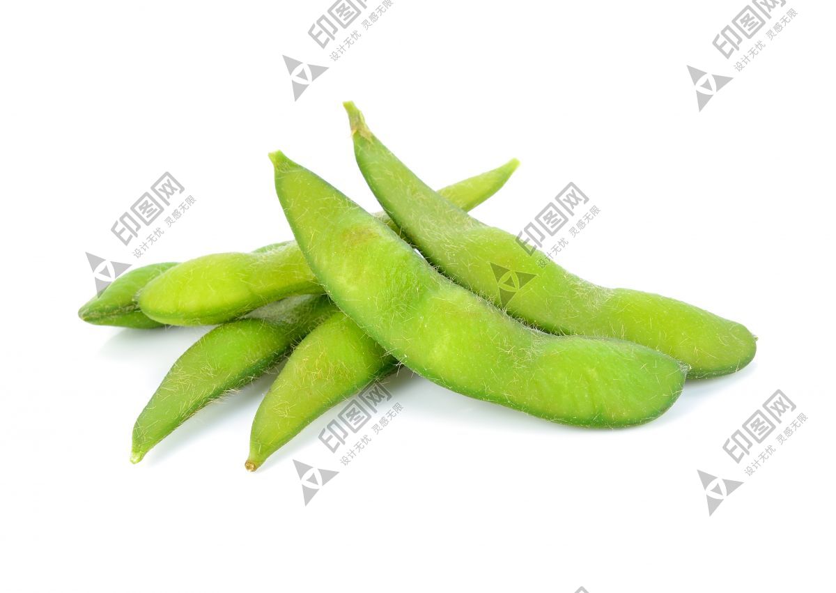 毛豆