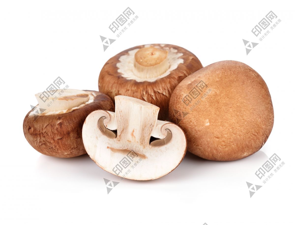 蘑菇